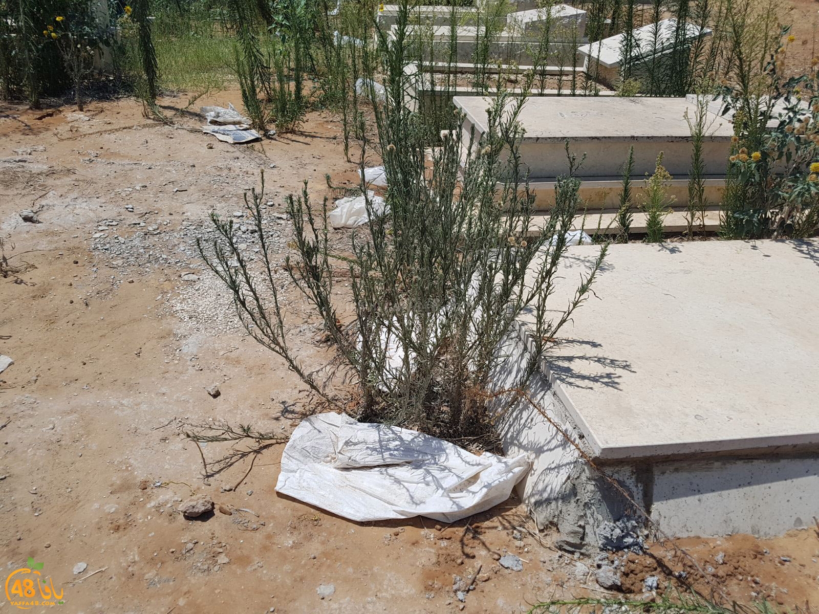 tasoo mabkqbara (20).jpg